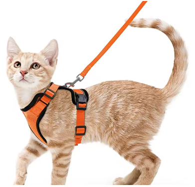 Collars-Harnesses-Leashes