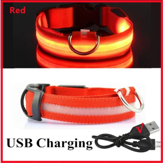 GlowPup™ LED Safety Collar