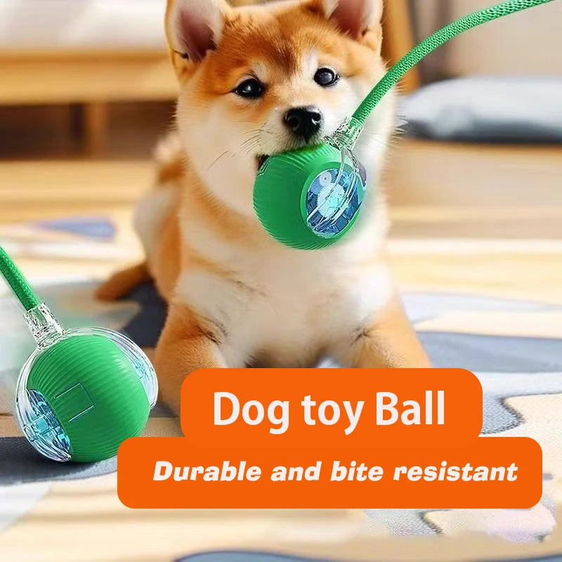 HappyPaws Spinner