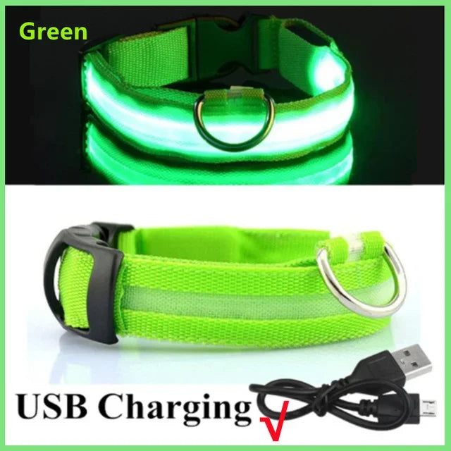 GlowPup™ LED Safety Collar