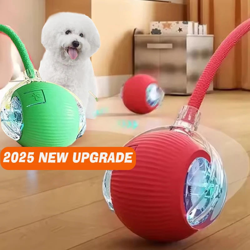 HappyPaws Spinner