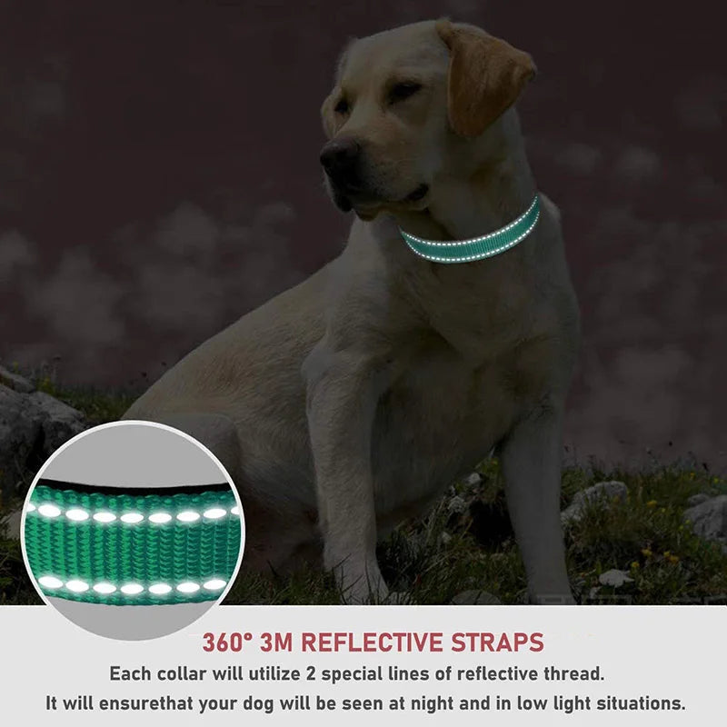 PawSecure™ Reflective Dog Collar