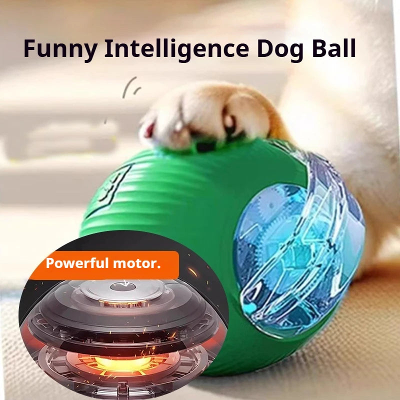HappyPaws Spinner