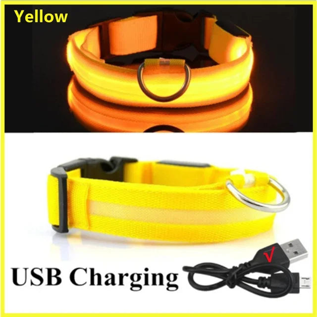 GlowPup™ LED Safety Collar