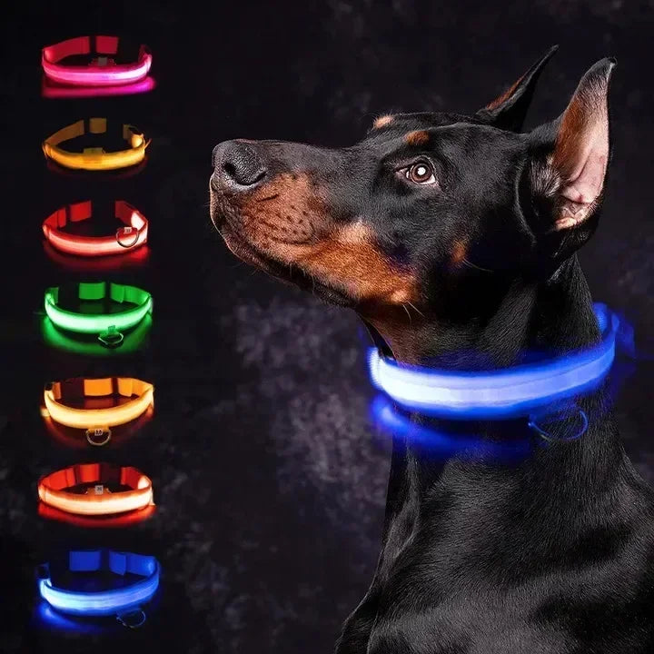 GlowPup™ LED Safety Collar