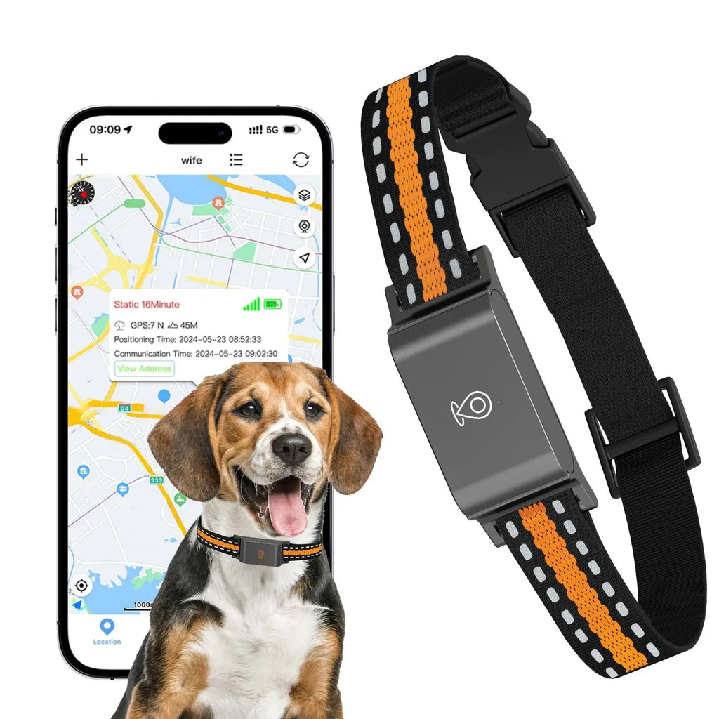 4G GPS Pet dog Tracker Collar free card Real Time Tracking APP Electronic Fence Anti Lost Dog Locator