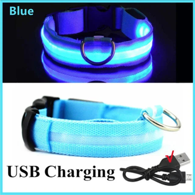 GlowPup™ LED Safety Collar
