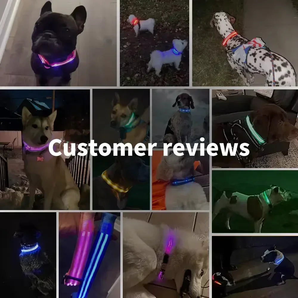 GlowPup™ LED Safety Collar