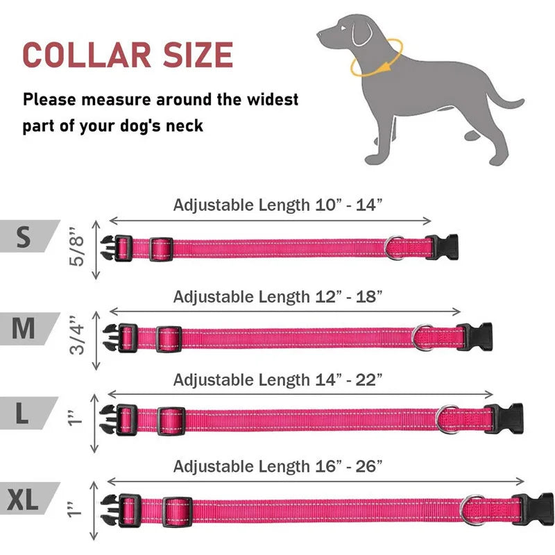 PawSecure™ Reflective Dog Collar