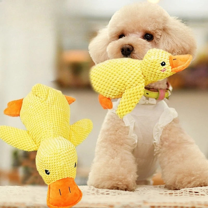 Quacky Plush Squeak Toy