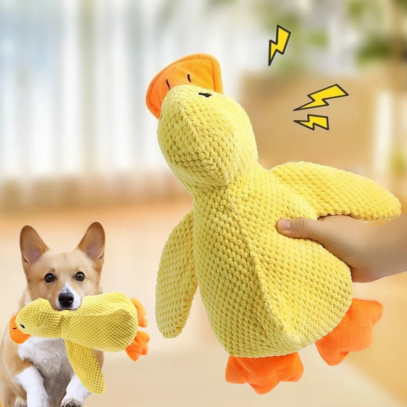 Quacky Plush Squeak Toy