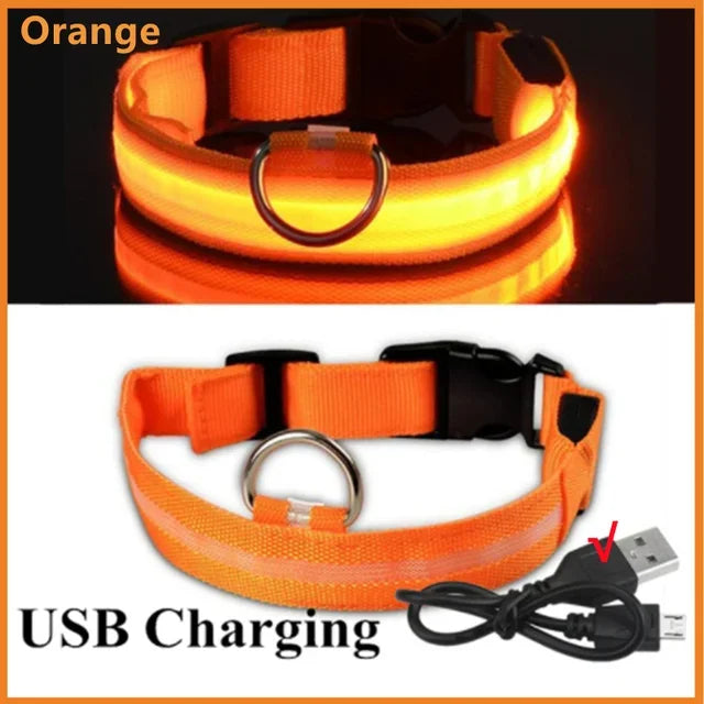 GlowPup™ LED Safety Collar