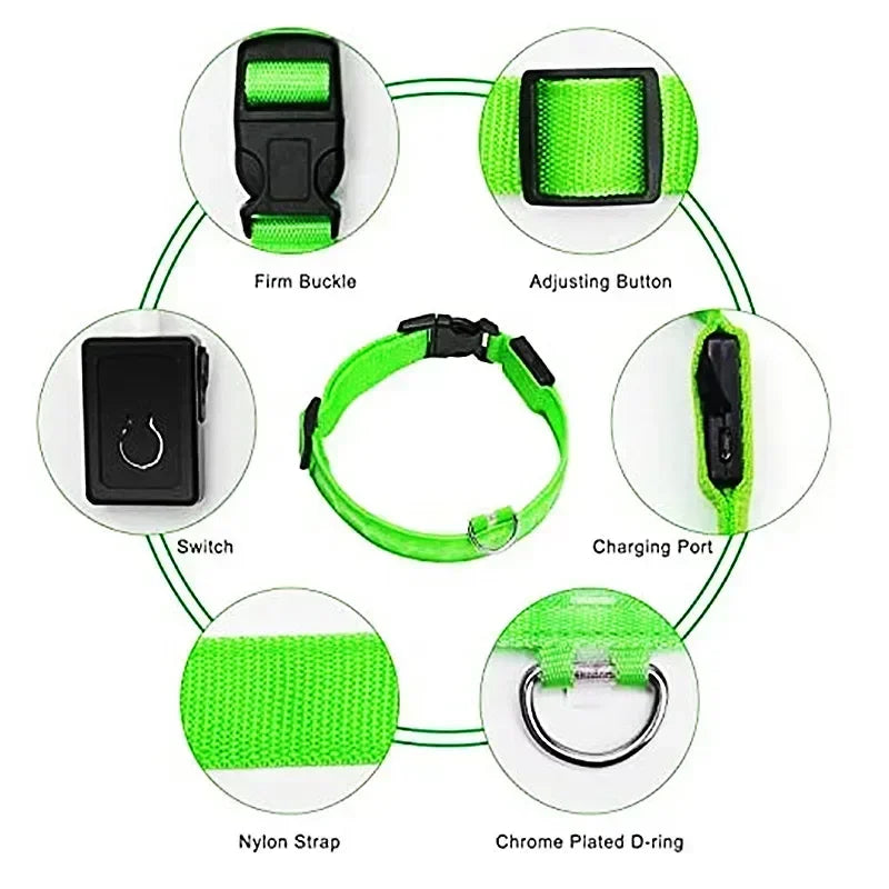 GlowPup™ LED Safety Collar