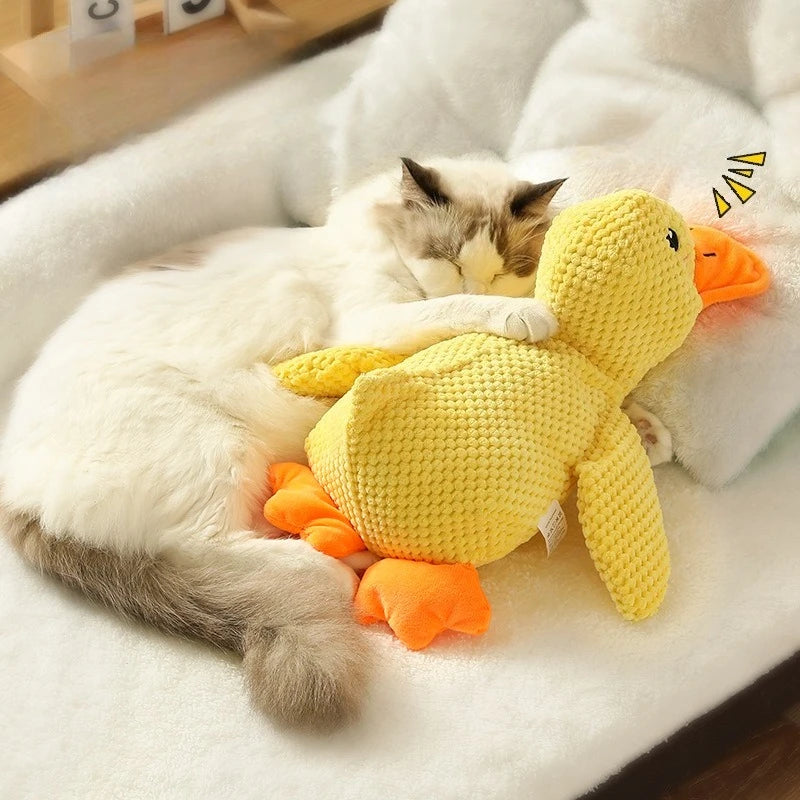 Quacky Plush Squeak Toy