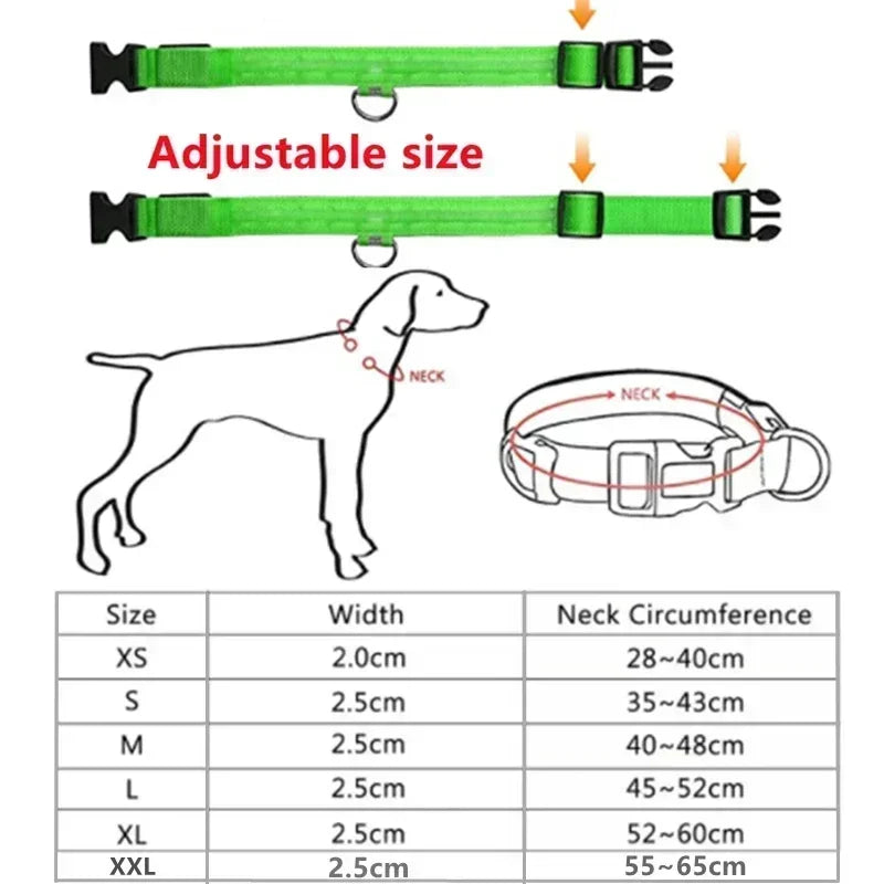 GlowPup™ LED Safety Collar