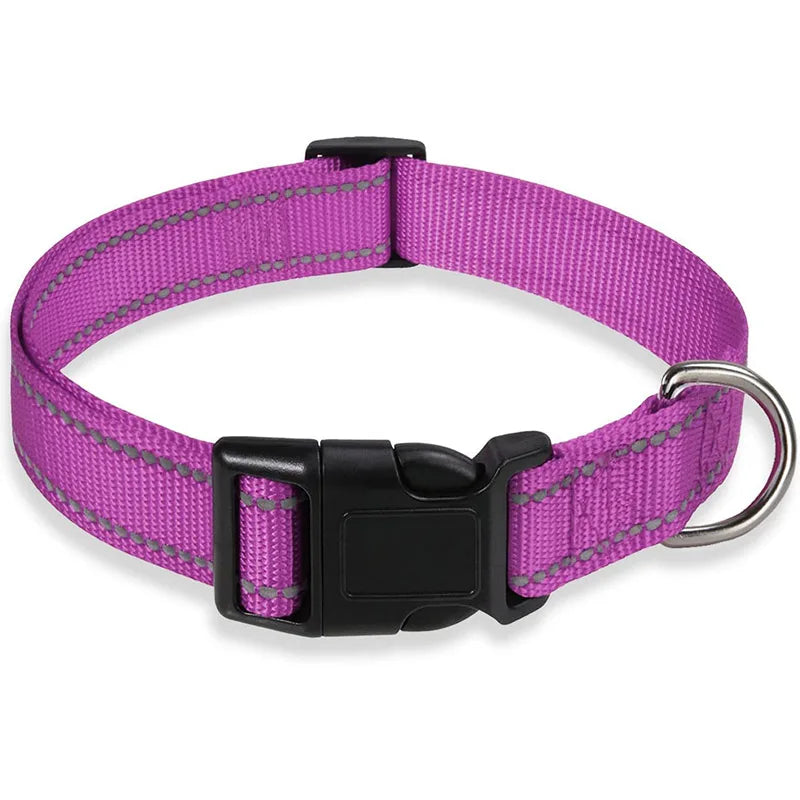 PawSecure™ Reflective Dog Collar