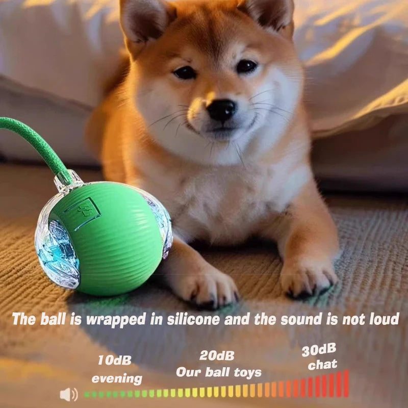 HappyPaws Spinner