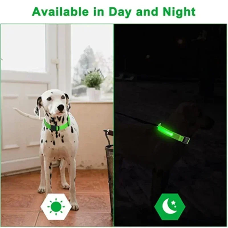 GlowPup™ LED Safety Collar