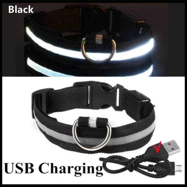GlowPup™ LED Safety Collar