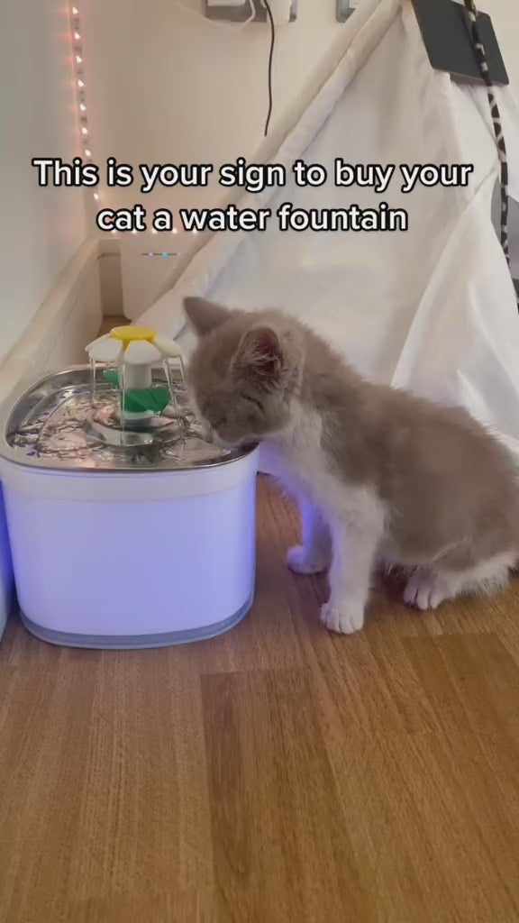 Cat water fountain Full-automatic circulating water Popular flower drinking device LED red and blue induction lamp