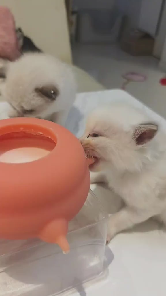 Puppy Milk Feeder Simulated Nipple Puppy Nursing Station  Prevent Choking High Temperature Resistant for Multiple Puppies